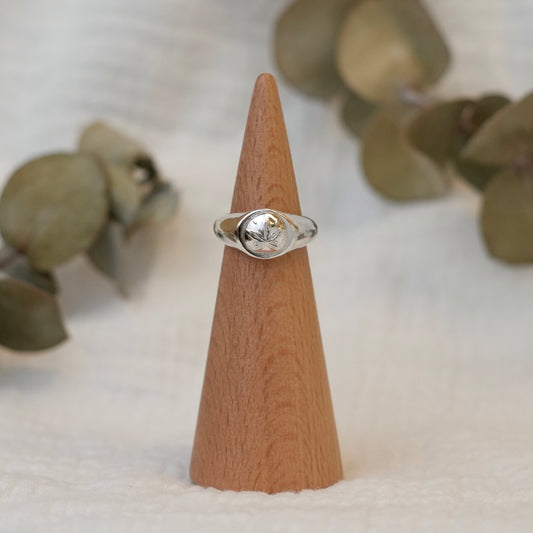 Sand Dollar Signet - 4.5