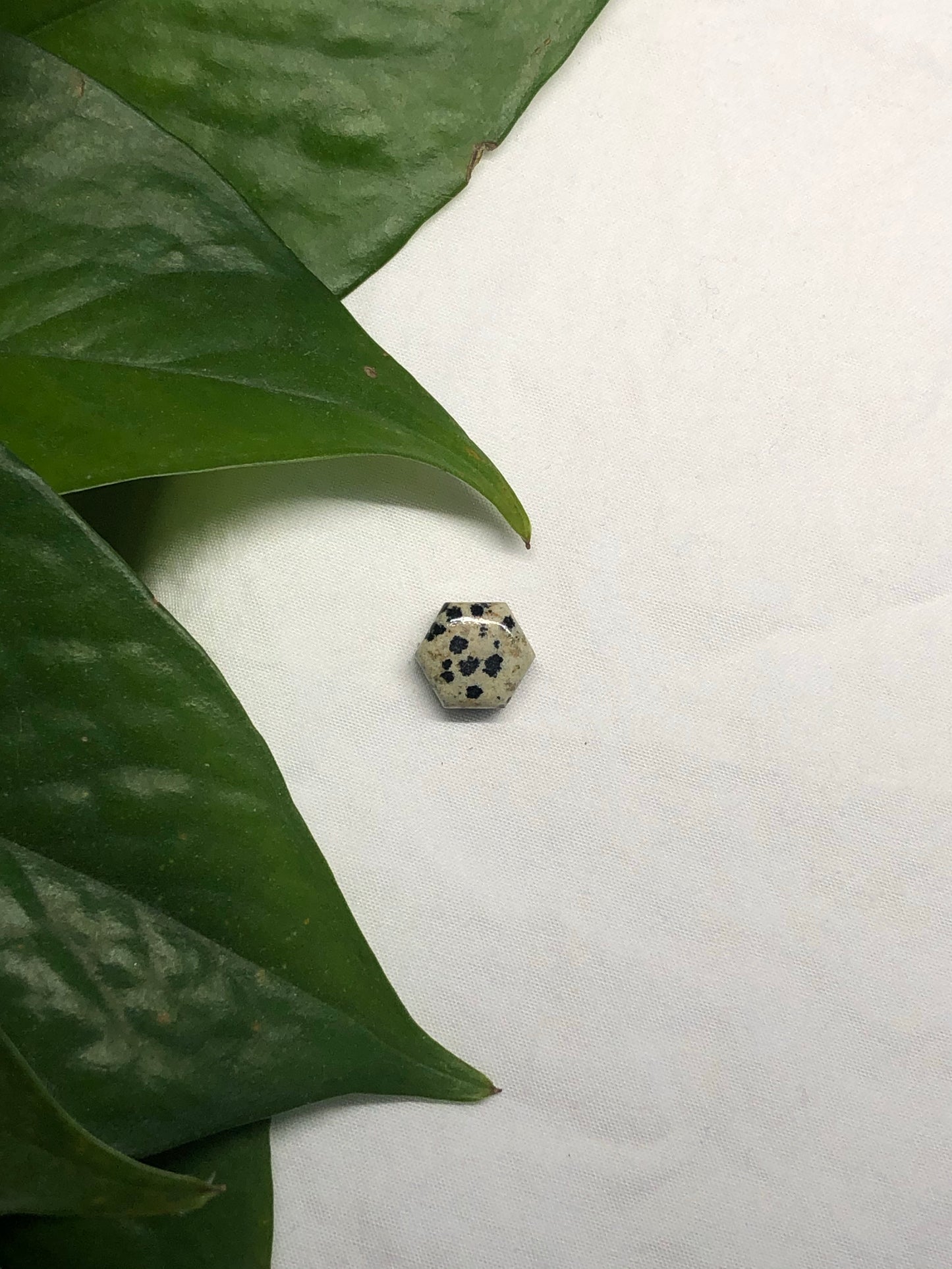 Dalmatian Jasper Gemstone