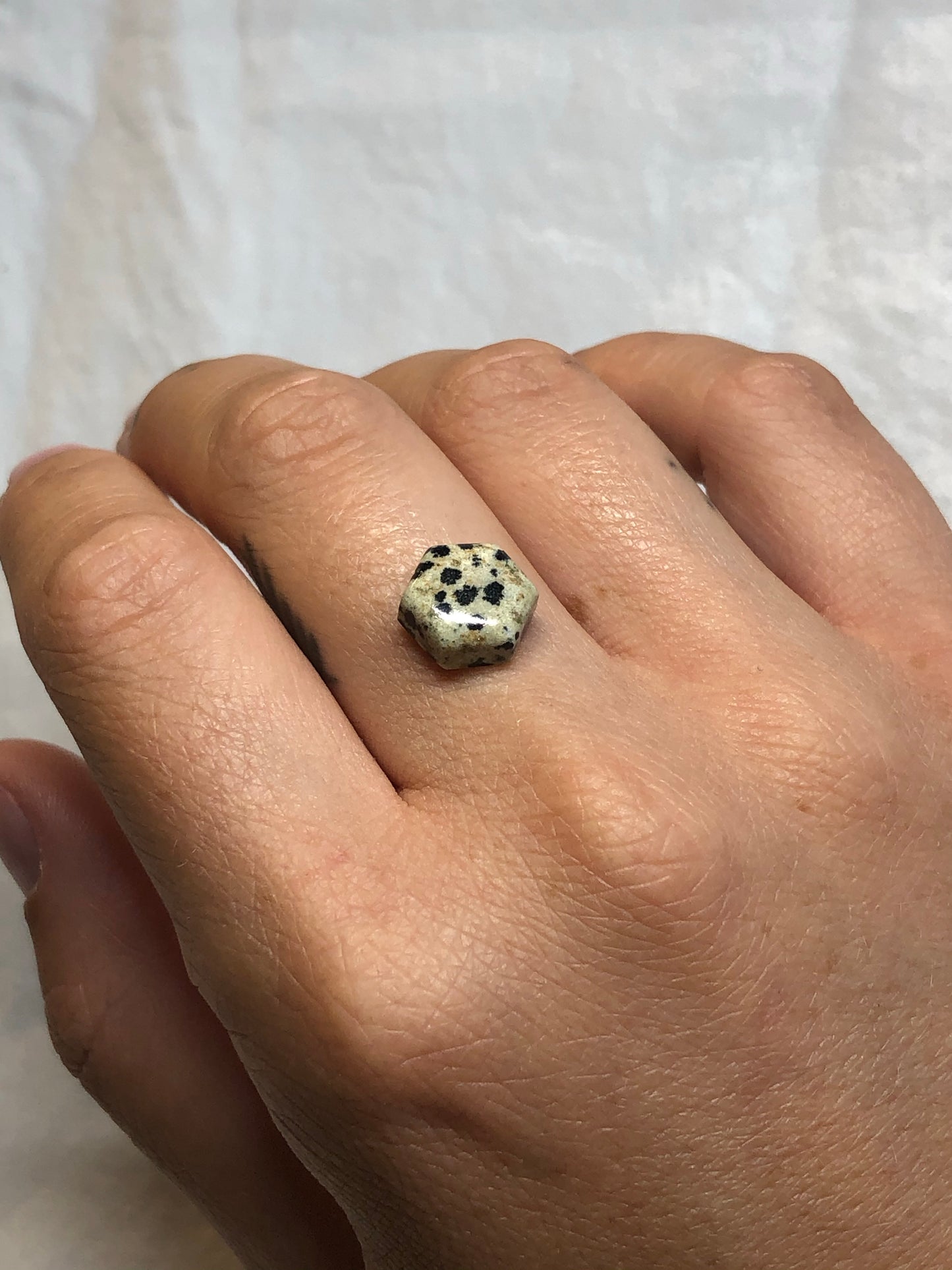 Dalmatian Jasper Gemstone