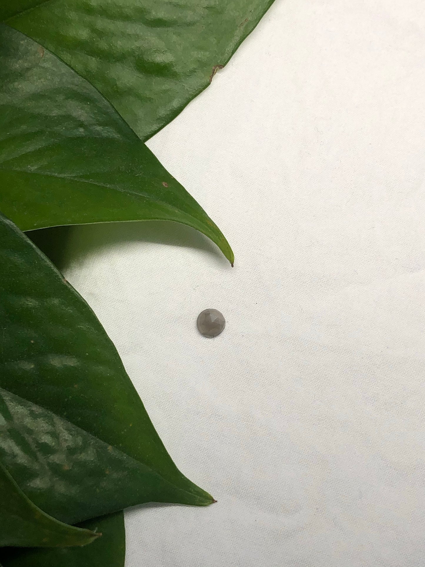 Grey Moonstone Gemstone
