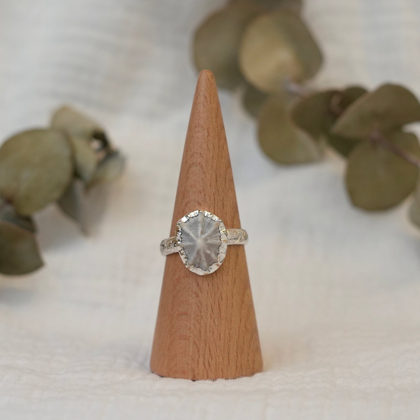Sea Shell - 11