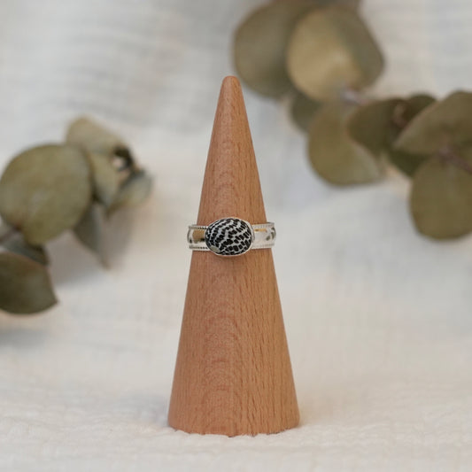 Sea Shell - 7