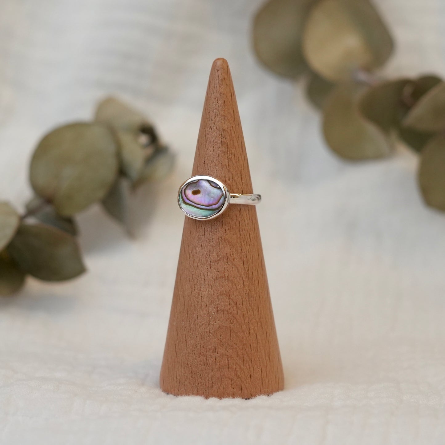 Abalone - 5.5