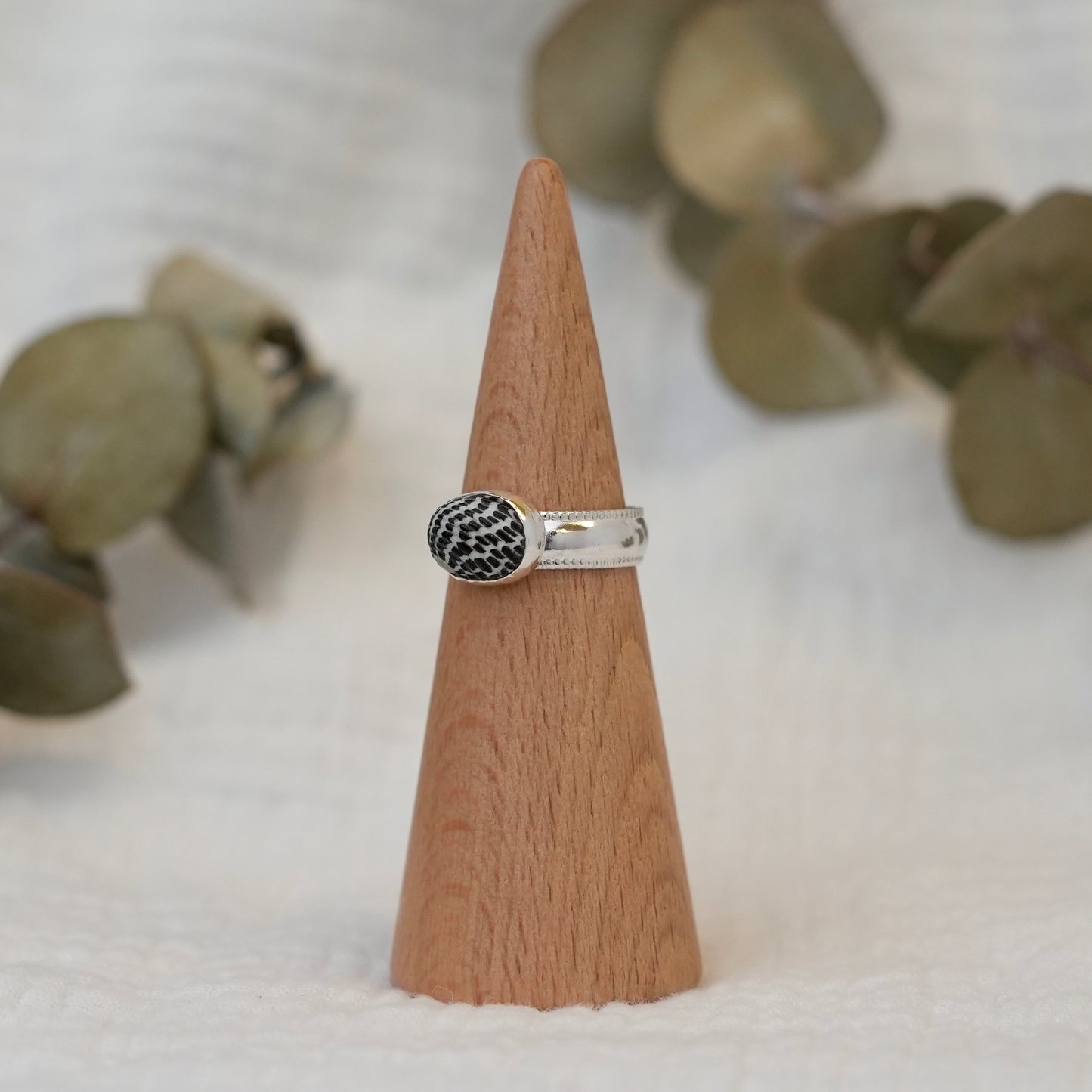 Sea Shell - 7