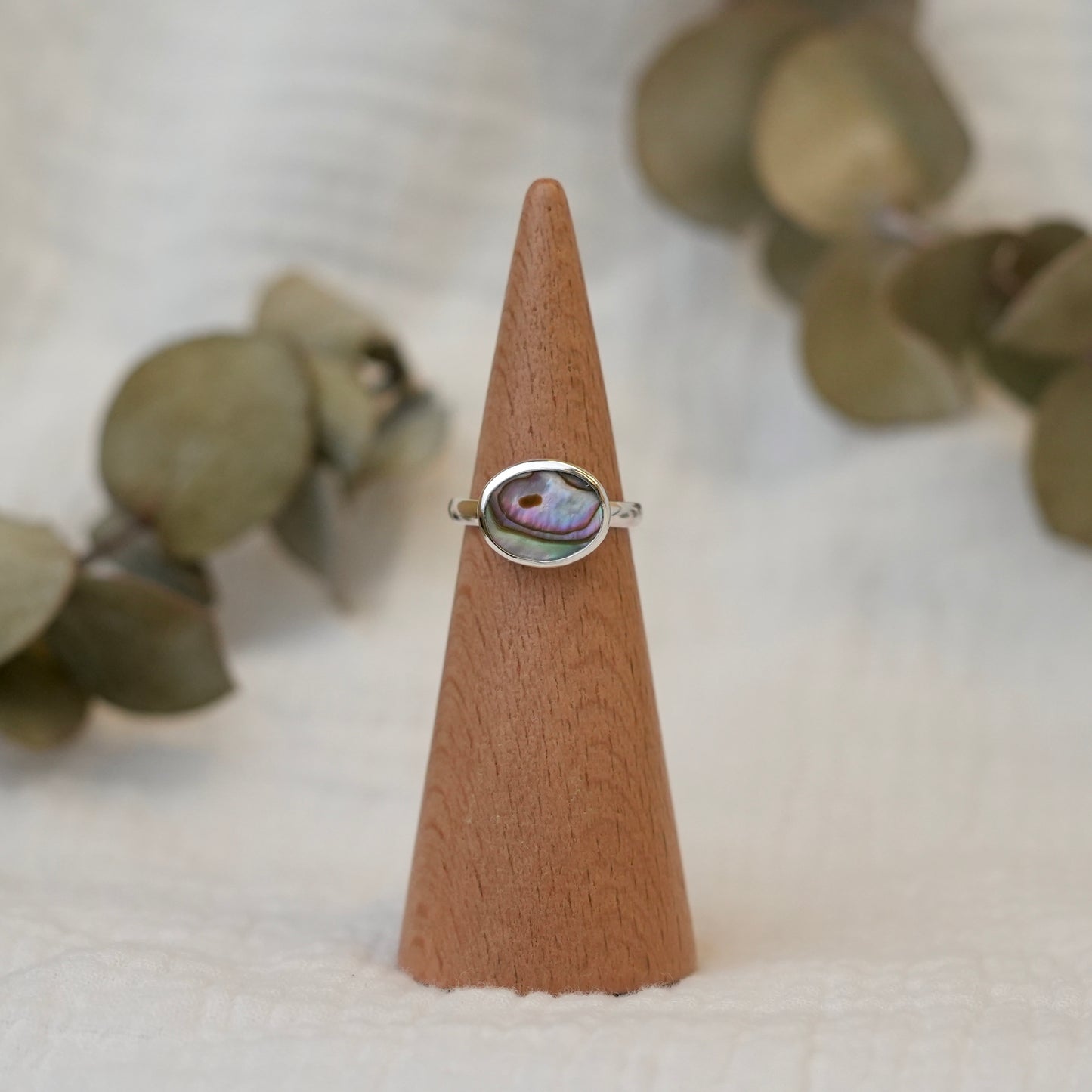 Abalone - 5.5