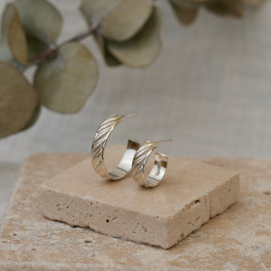 Aros Claudia de plata 