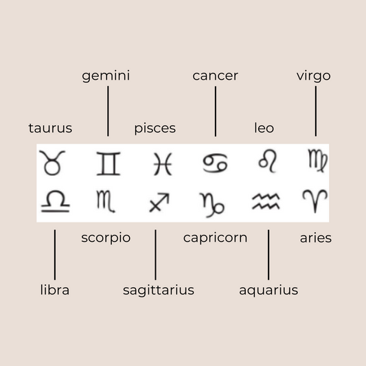 Anillo de plata del zodiaco